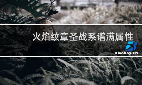 火焰纹章圣战系谱满属性