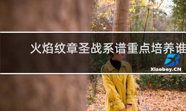 火焰纹章圣战系谱重点培养谁
