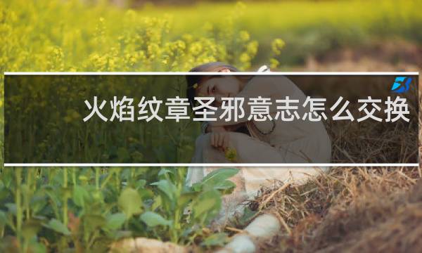 火焰纹章圣邪意志怎么交换