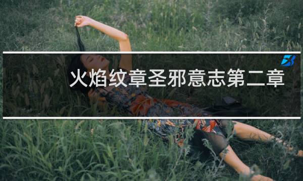 火焰纹章圣邪意志第二章