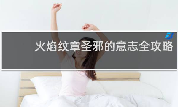 火焰纹章圣邪的意志全攻略
