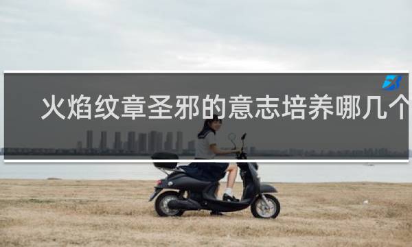 火焰纹章圣邪的意志培养哪几个人