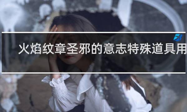 火焰纹章圣邪的意志特殊道具用途
