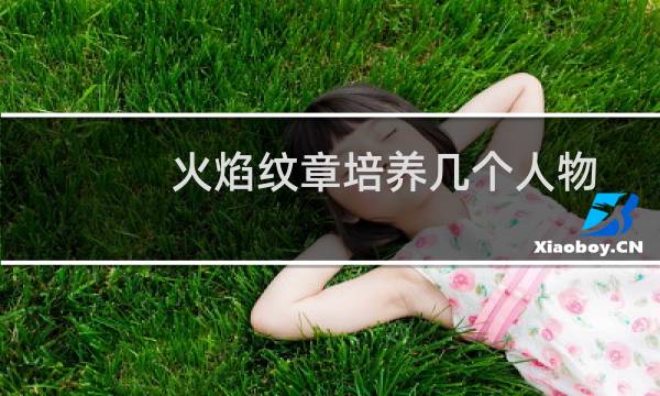 火焰纹章培养几个人物