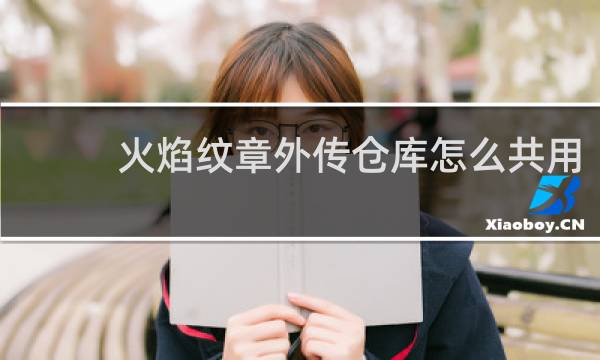 火焰纹章外传仓库怎么共用