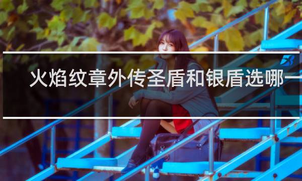 火焰纹章外传圣盾和银盾选哪一个