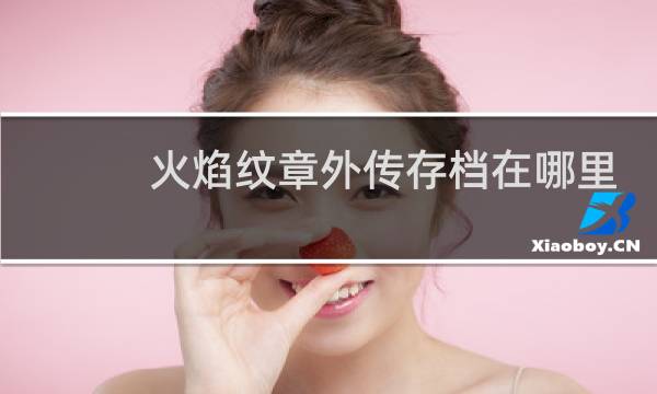 火焰纹章外传存档在哪里