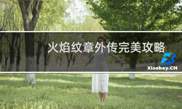 火焰纹章外传完美攻略