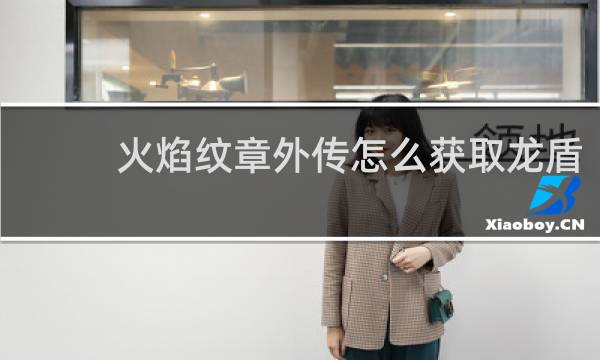 火焰纹章外传怎么获取龙盾