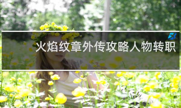 火焰纹章外传攻略人物转职