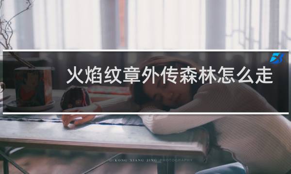 火焰纹章外传森林怎么走