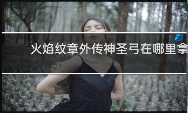 火焰纹章外传神圣弓在哪里拿