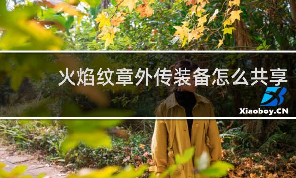 火焰纹章外传装备怎么共享