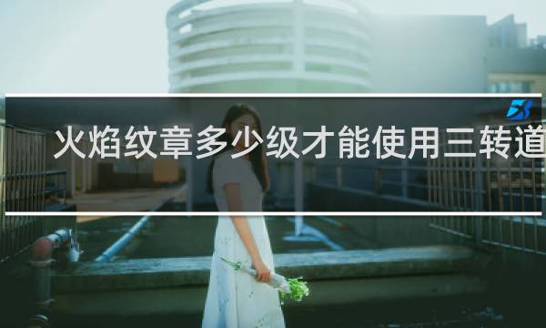 火焰纹章多少级才能使用三转道具