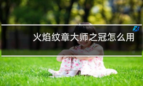 火焰纹章大师之冠怎么用