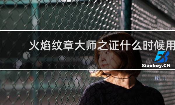 火焰纹章大师之证什么时候用