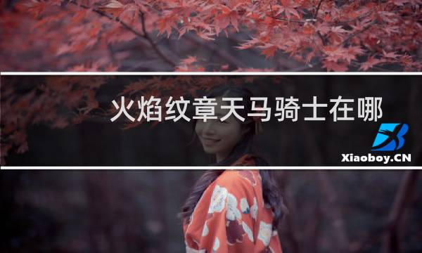 火焰纹章天马骑士在哪