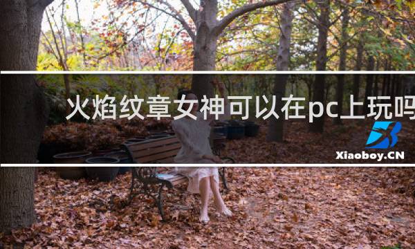 火焰纹章女神可以在pc上玩吗