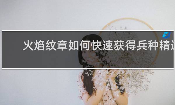 火焰纹章如何快速获得兵种精通