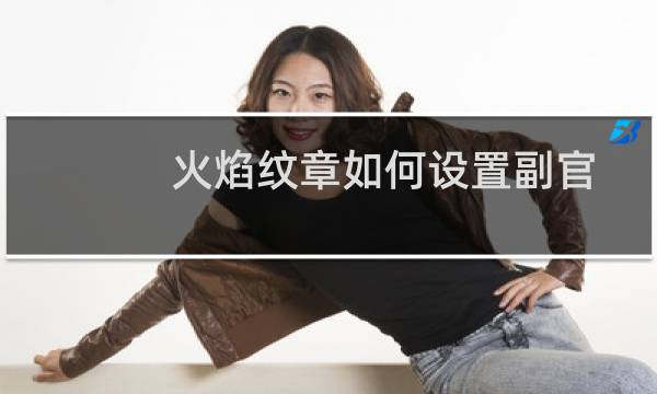 火焰纹章如何设置副官