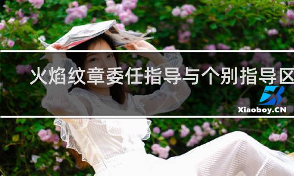 火焰纹章委任指导与个别指导区别