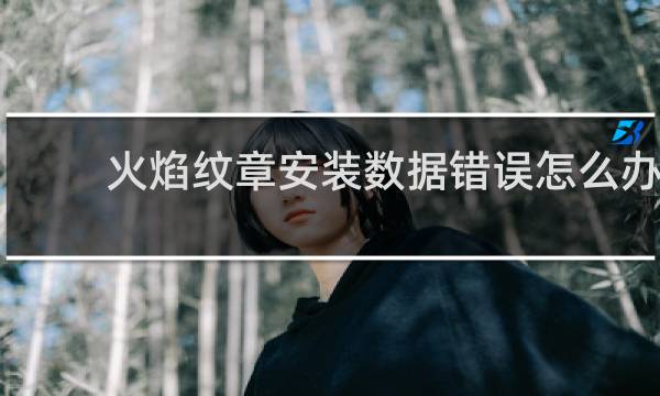 火焰纹章安装数据错误怎么办
