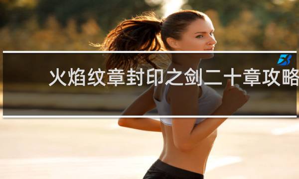 火焰纹章封印之剑二十章攻略
