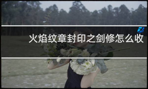 火焰纹章封印之剑修怎么收