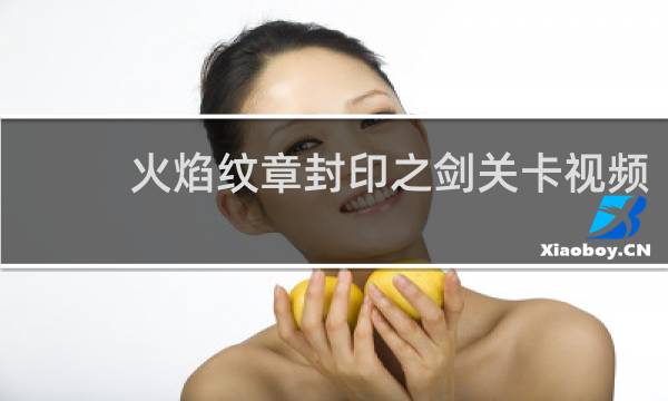 火焰纹章封印之剑关卡视频