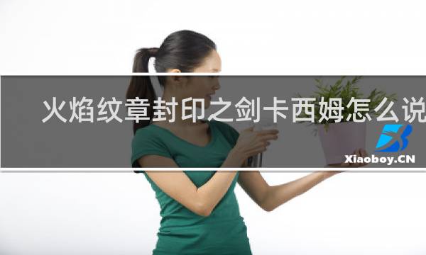 火焰纹章封印之剑卡西姆怎么说服