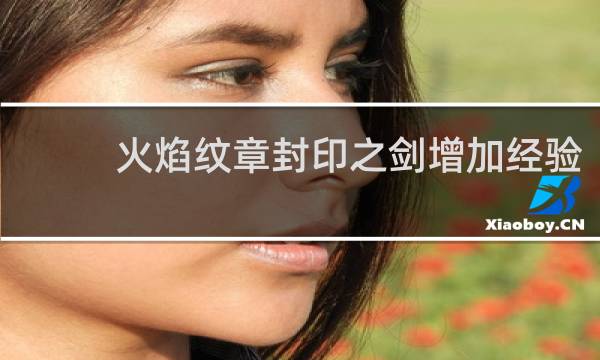 火焰纹章封印之剑增加经验