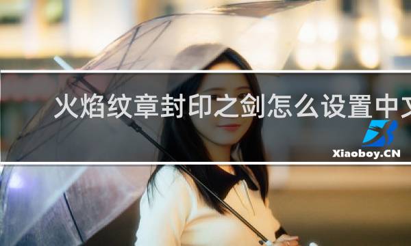 火焰纹章封印之剑怎么设置中文