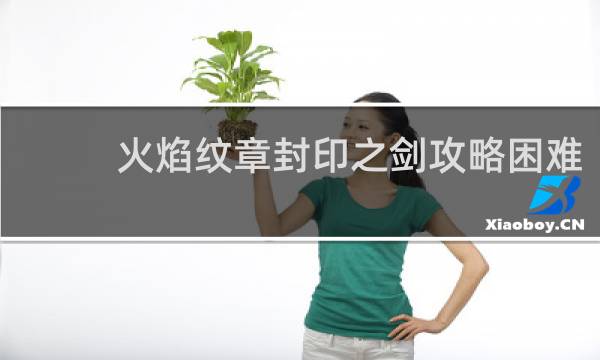 火焰纹章封印之剑攻略困难