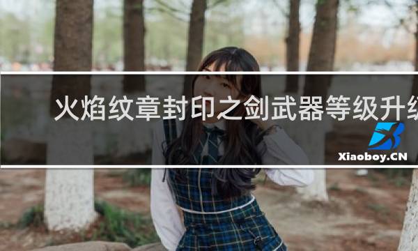 火焰纹章封印之剑武器等级升级