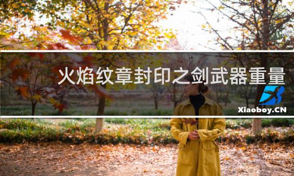 火焰纹章封印之剑武器重量