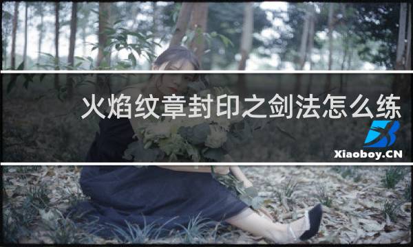 火焰纹章封印之剑法怎么练