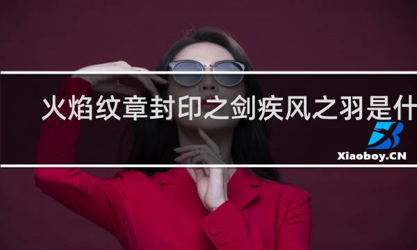 火焰纹章封印之剑疾风之羽是什么