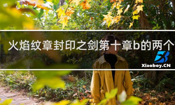火焰纹章封印之剑第十章b的两个兄弟