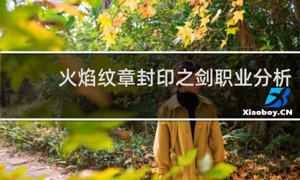 火焰纹章封印之剑职业分析