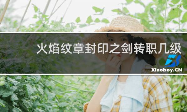 火焰纹章封印之剑转职几级