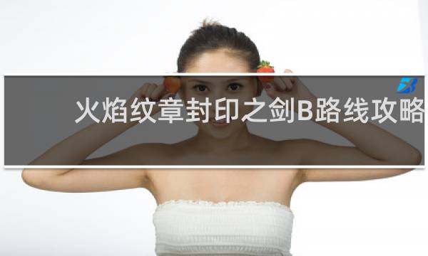 火焰纹章封印之剑B路线攻略