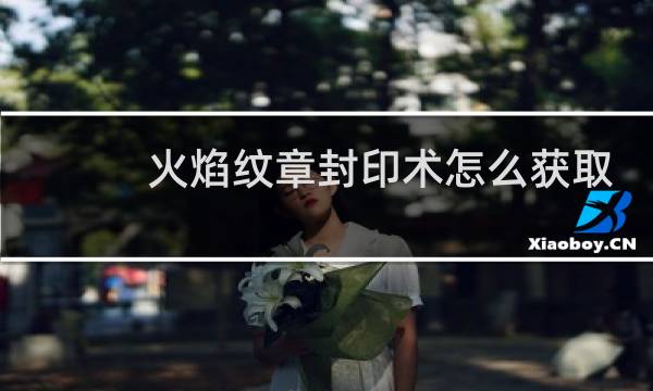 火焰纹章封印术怎么获取