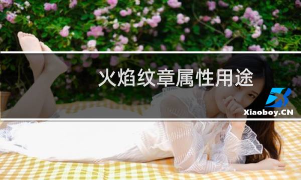火焰纹章属性用途