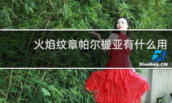 火焰纹章帕尔提亚有什么用