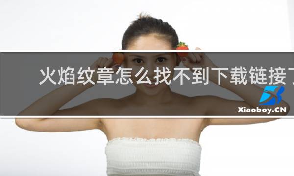 火焰纹章怎么找不到下载链接了