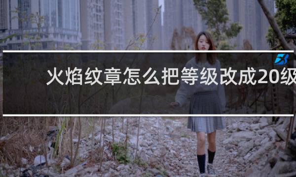 火焰纹章怎么把等级改成20级