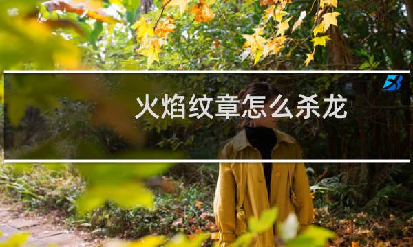 火焰纹章怎么杀龙