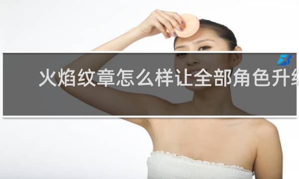 火焰纹章怎么样让全部角色升级