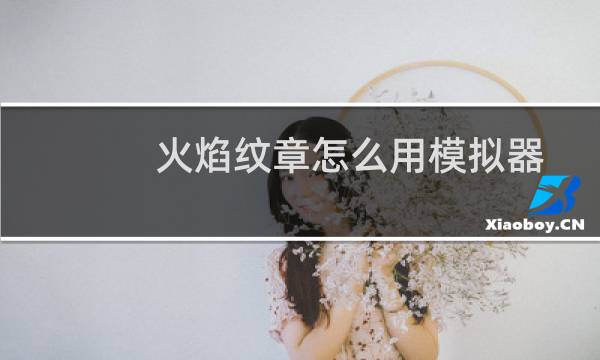 火焰纹章怎么用模拟器