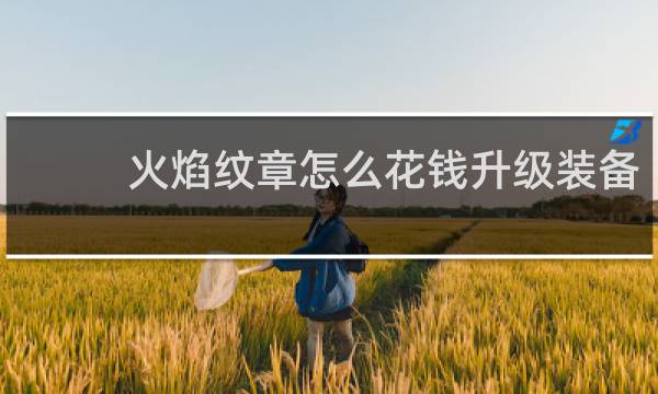 火焰纹章怎么花钱升级装备